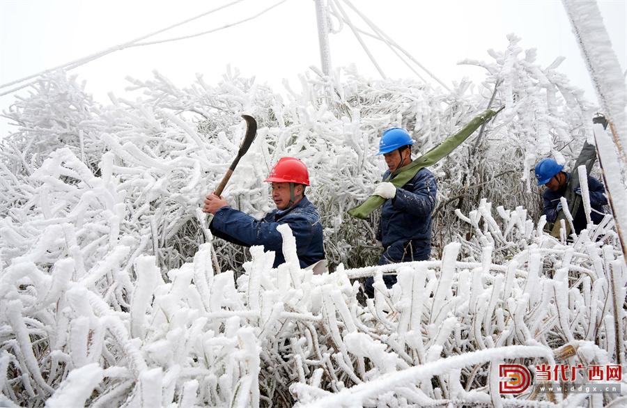 在柳州市融水苗族自治县杆洞乡,南方电网广西融水供电公司电力工人在