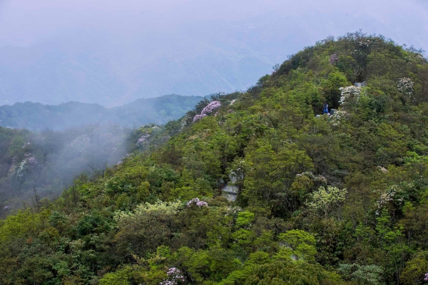 绿叶,繁花,鸟语组成美妙动人的音符画卷,让身处山中的人们远离喧嚣