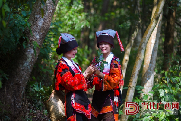 五彩花篮瑶. 陶峰 摄于广西来宾市金秀瑶族自治县