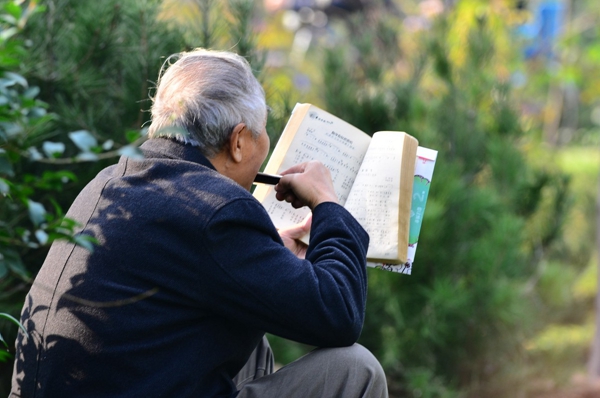 公园里吹口琴的老人.图片来源 zol论坛